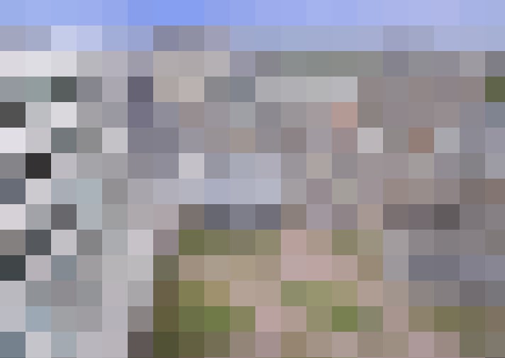 Image 20
