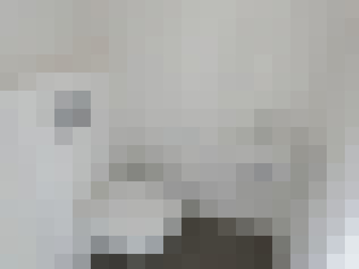 Image 13