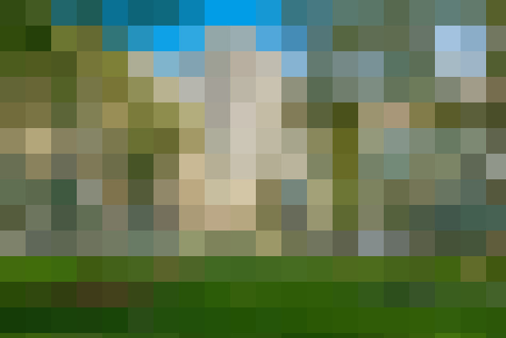Image 14