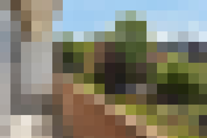 Image 30