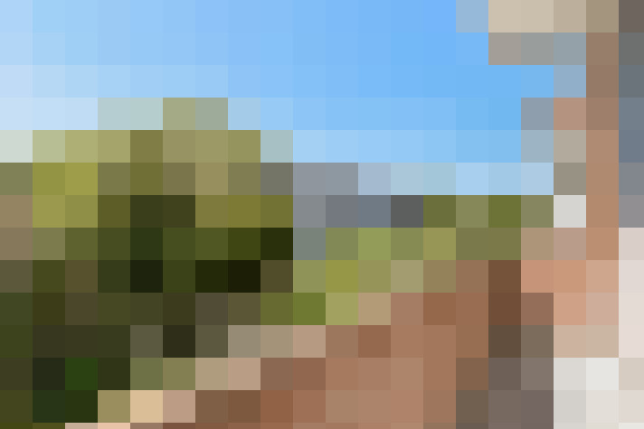 Image 29