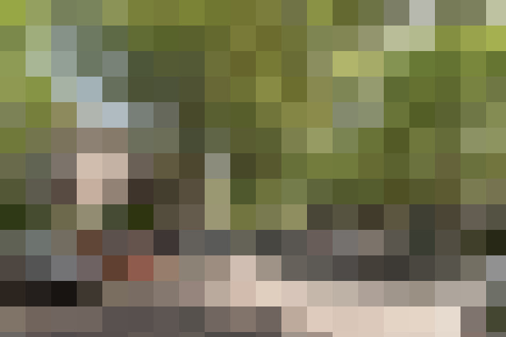 Image 33