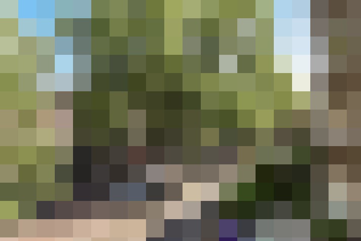 Image 32
