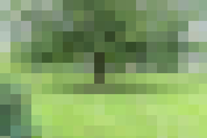 Image 16