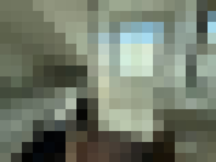 Image 14