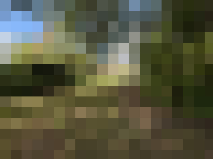 Image 16