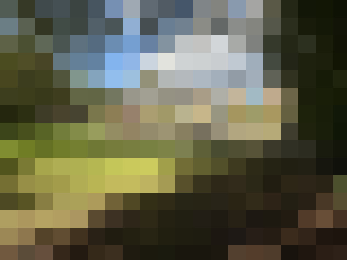 Image 17