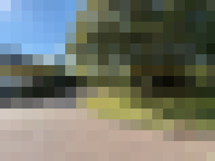 Image 15