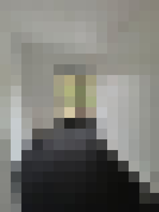 Image 13