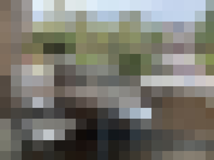 Image 31