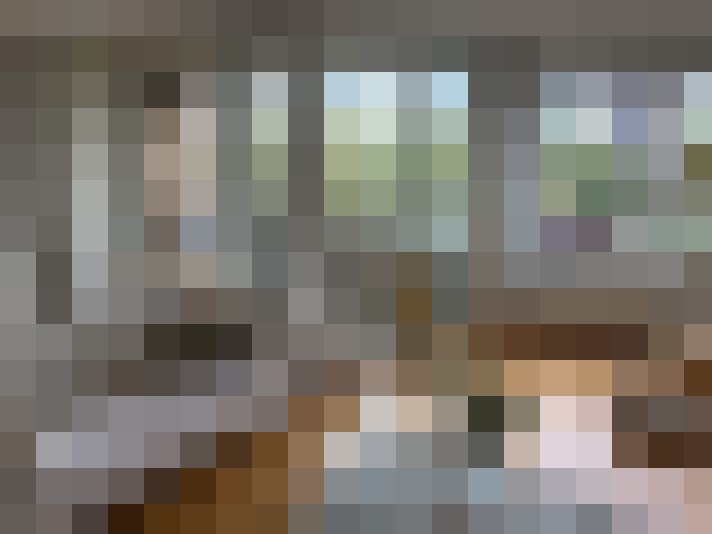 Image 13