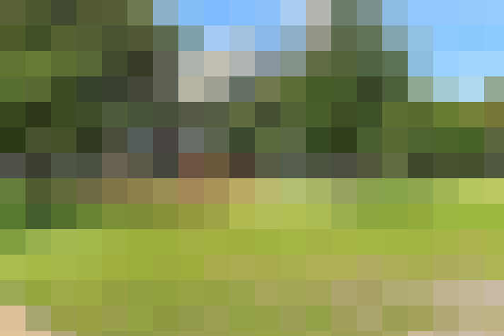 Image 17