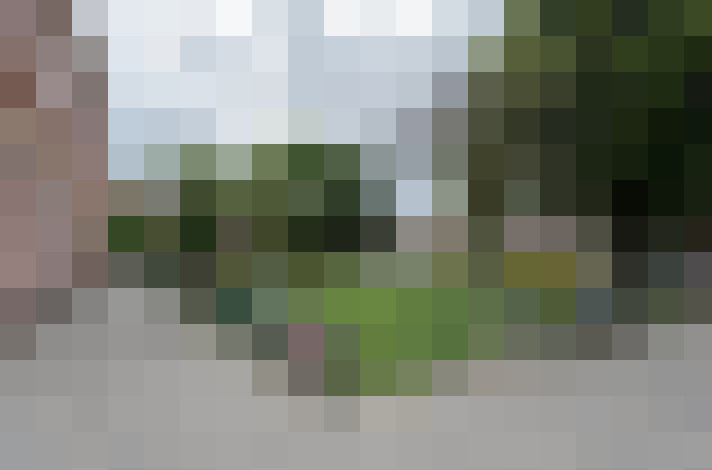 Image 28