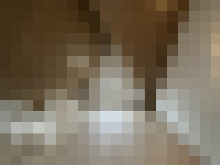 Image 31