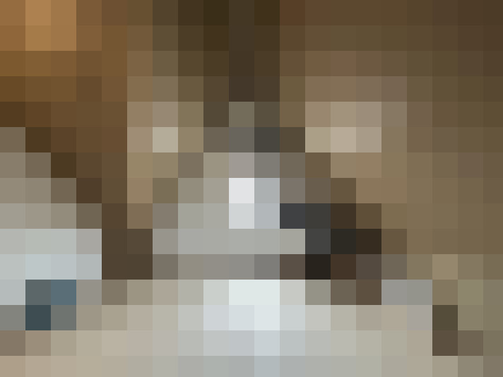 Image 33