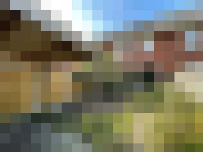 Image 15