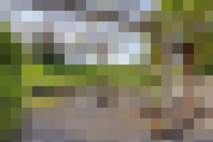 Image 31