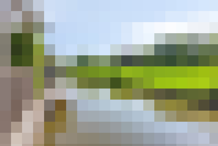 Image 36