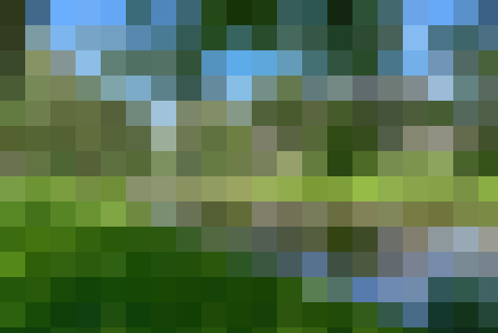 Image 17