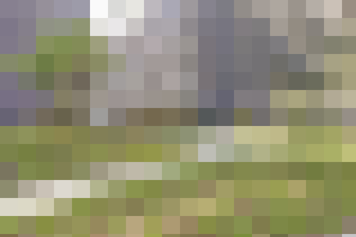 Image 38