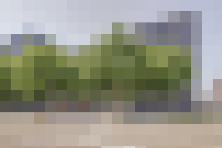 Image 41