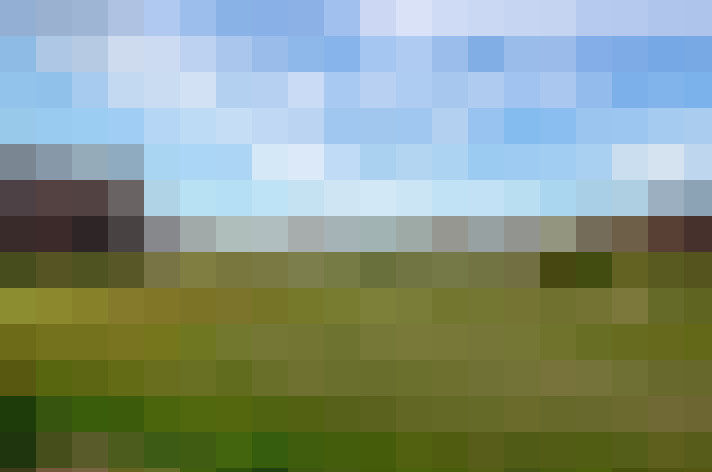 Image 22