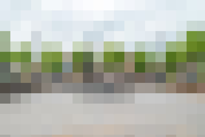Image 20