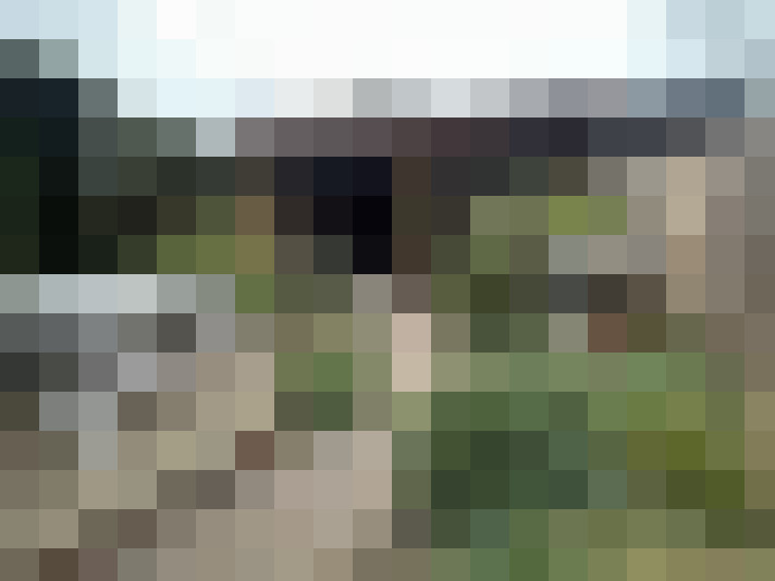 Image 25