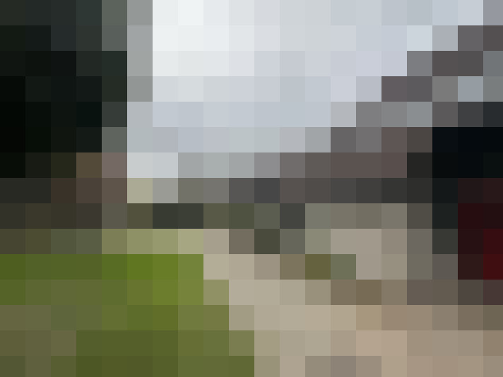 Image 24