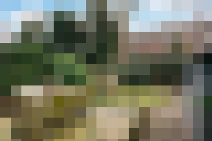 Image 13