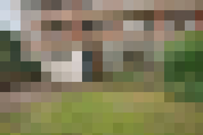 Image 15