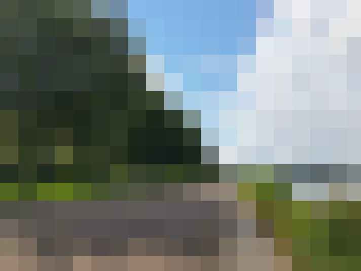 Image 35