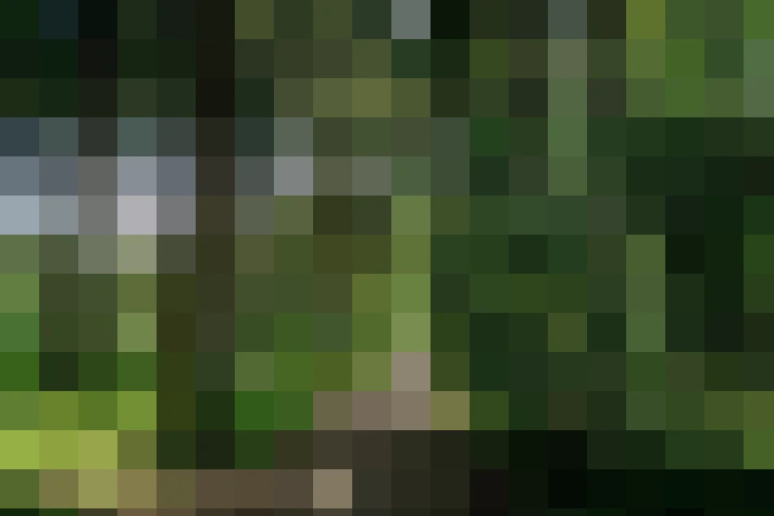Image 37