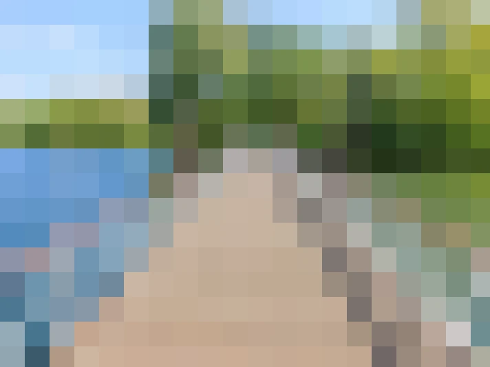 Image 34