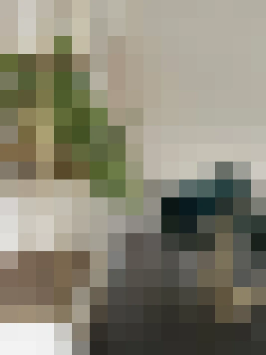 Image 22