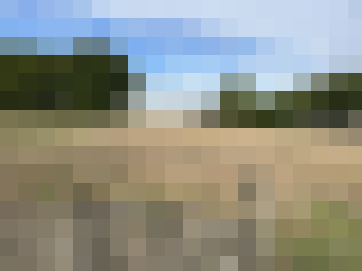 Image 14