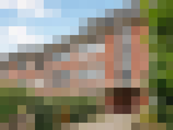 Image 17