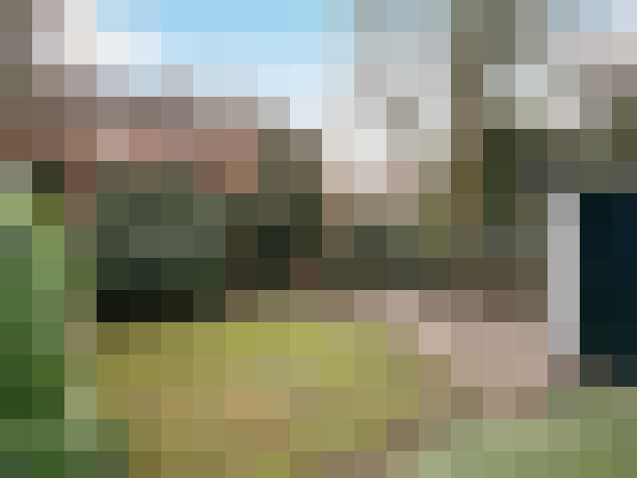 Image 14