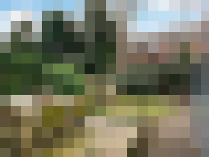 Image 13