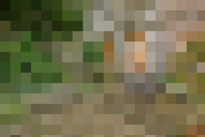 Image 16