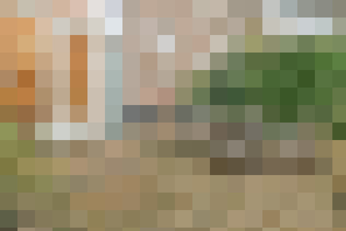 Image 17