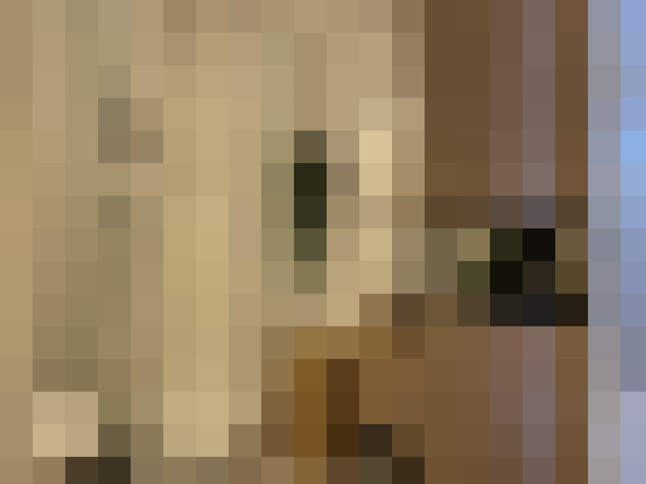 Image 27