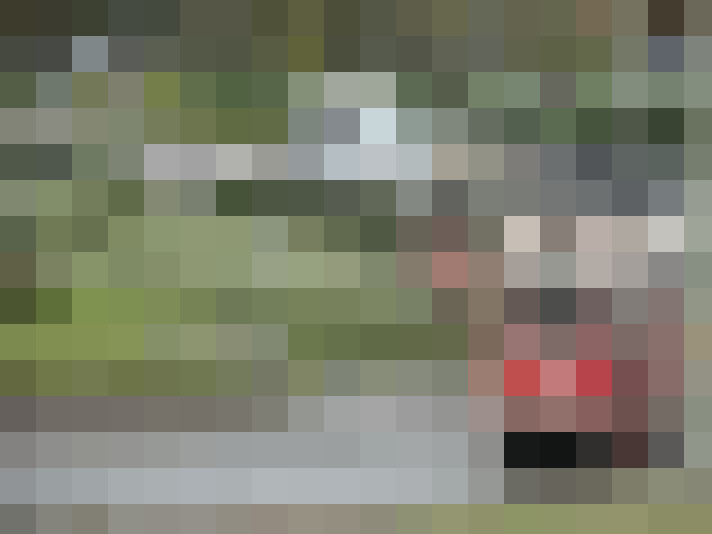 Image 22