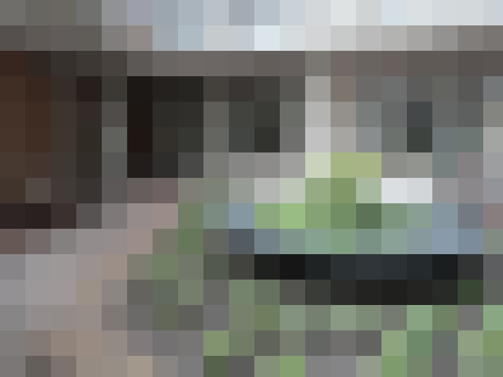 Image 15