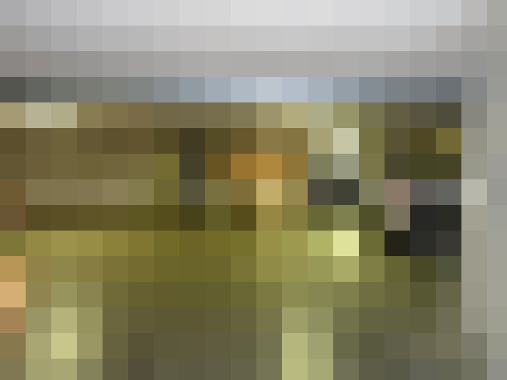 Image 17