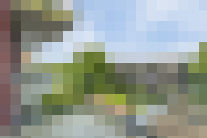 Image 15