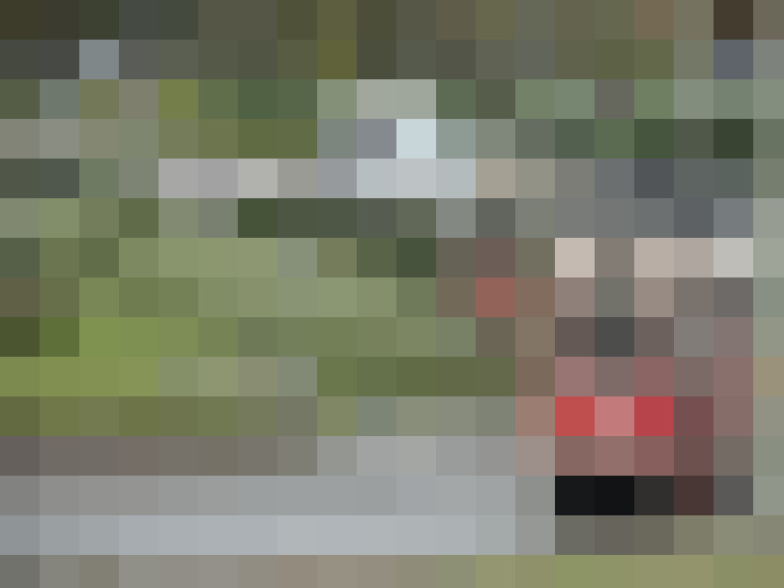 Image 21