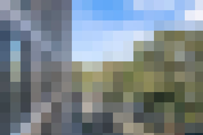 Image 44