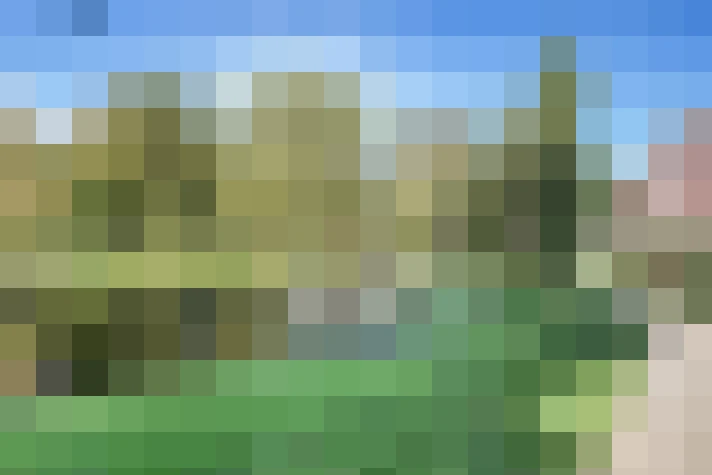Image 56