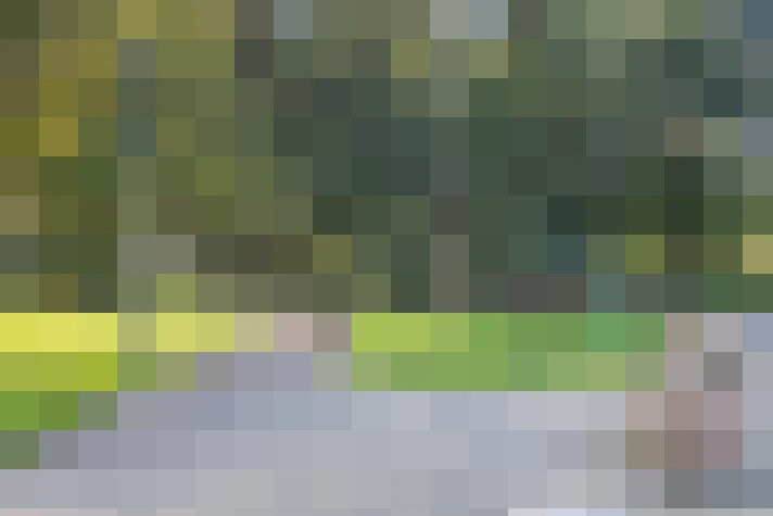 Image 55
